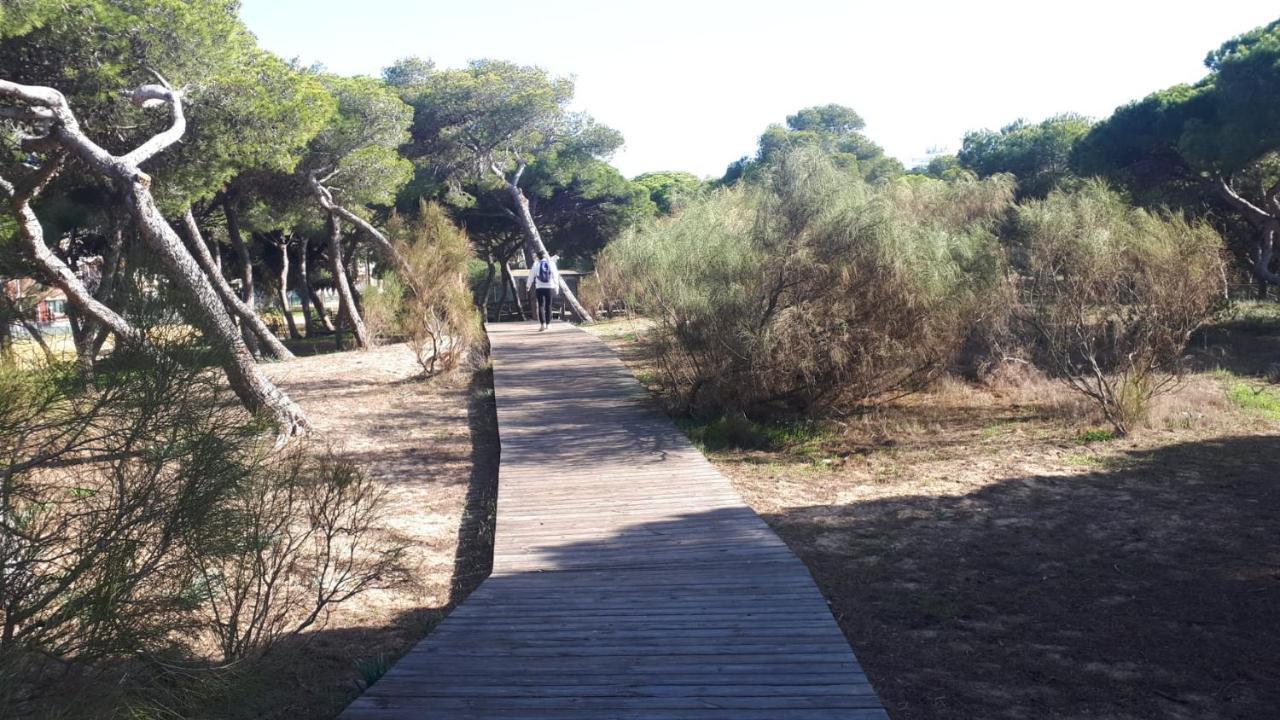 Acogedor Apartamento A 100 M. De Pinares Y Playa Apartment Rota Exterior photo